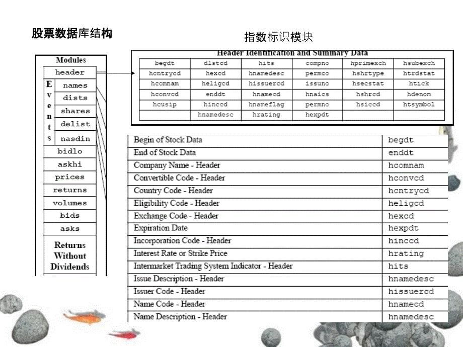 金融数据处理_第5页