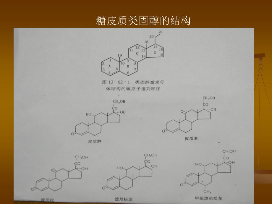 糖皮质激素在皮肤科的应用_第3页