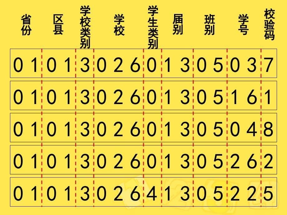 数字编码——教学课件_第5页