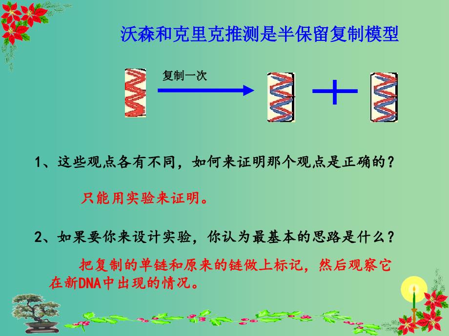 高中生物《3.3 DNA分子的复制》精品课件 新人教版必修2 .ppt_第3页