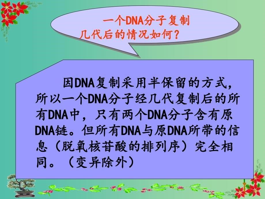 高中生物《3.3 DNA分子的复制》精品课件 新人教版必修2 .ppt_第5页