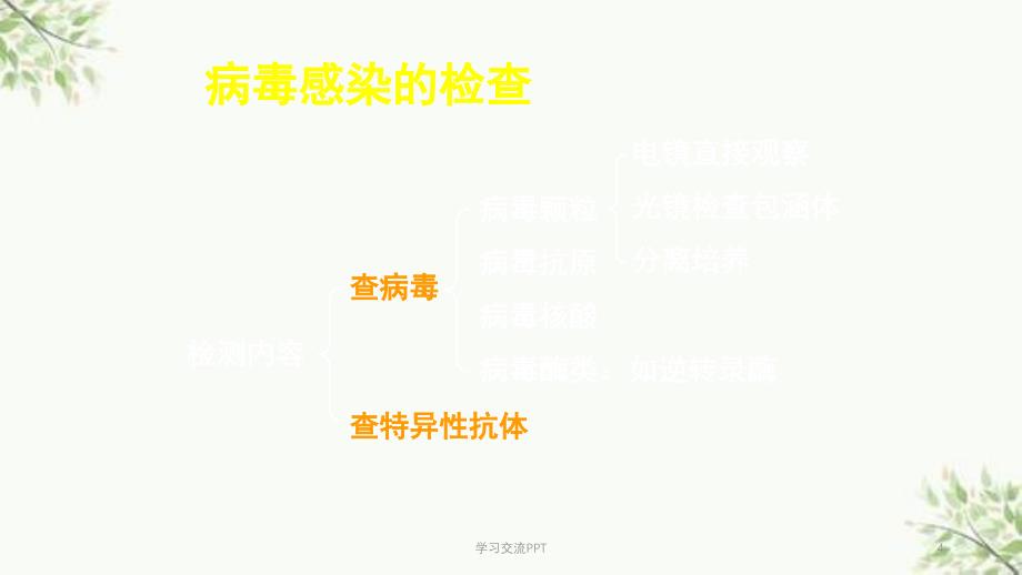 病毒感染的检查方法与防治原则课件_第4页