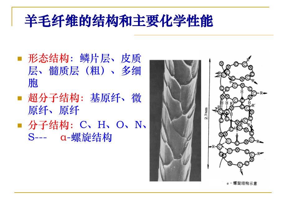 蛋白质纤维的结构和主要性能_第4页