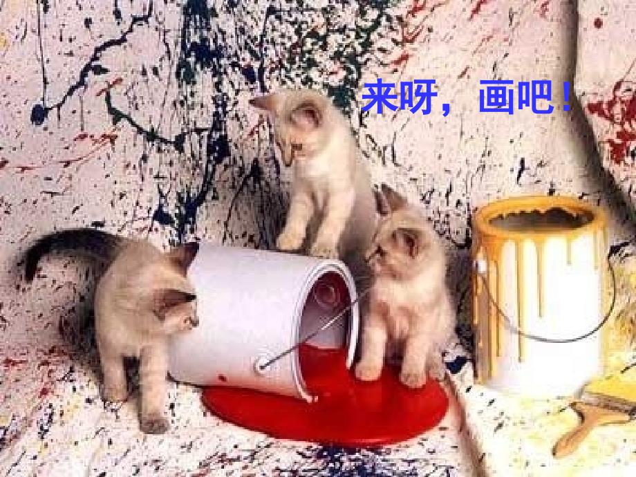 人教版四年级语文上册老舍-猫-优秀课件_第3页