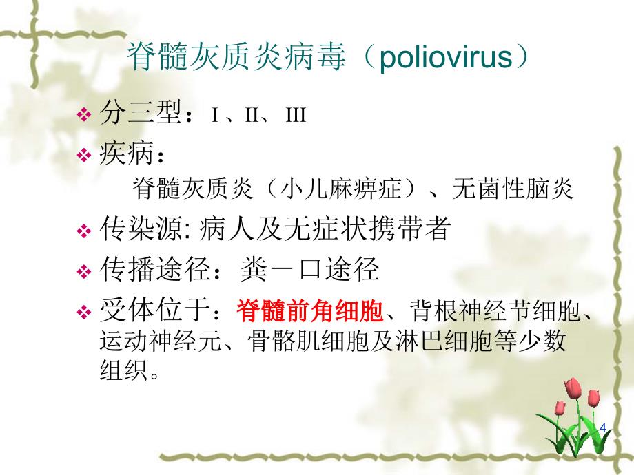 医学微生物学：肠道病毒（enterovirus）_第4页