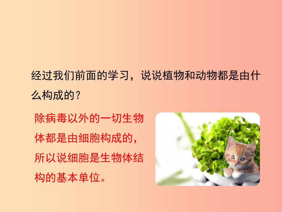 七年级生物上册2.2.2细胞是生命活动的单位课件2 新人教版.ppt_第2页