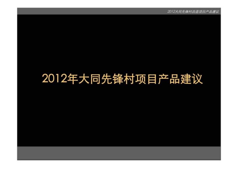 大同先锋村项目产品建议_第1页