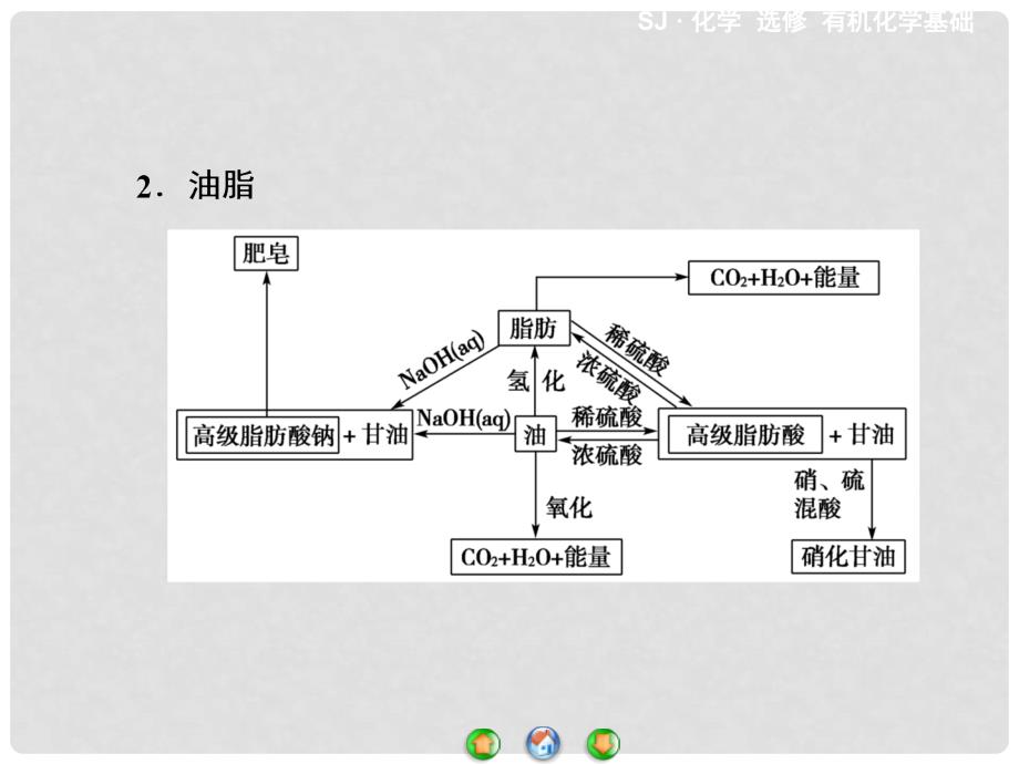 高中化学 专题5 生命活动的物质基础专题归纳提升课件 苏教版选修5_第3页