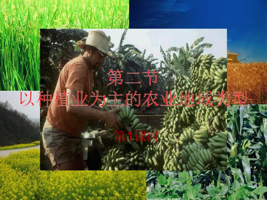 重庆市潼南区柏梓中学高中地理 3.2 以种植业为主的农业地域类型（第1课时）课件 新人教版必修2_第1页