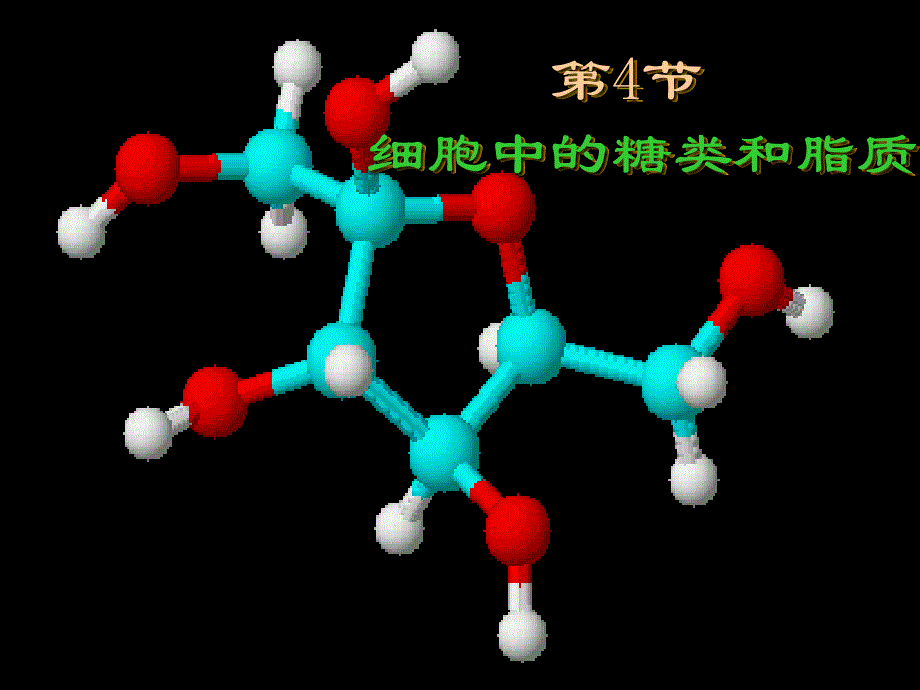 细胞中的糖类和脂肪.ppt_第1页