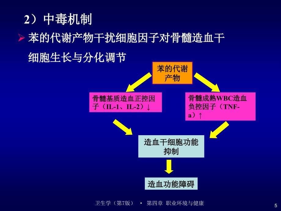 卫生学：第四章 职业病（第3节）（非本届）_第5页