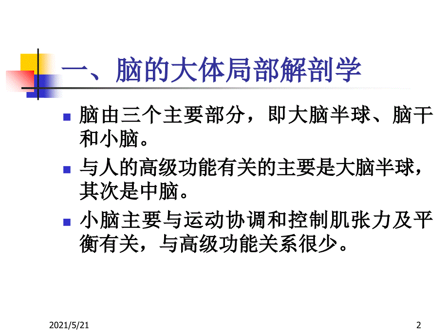 大脑的结构和功能_第2页