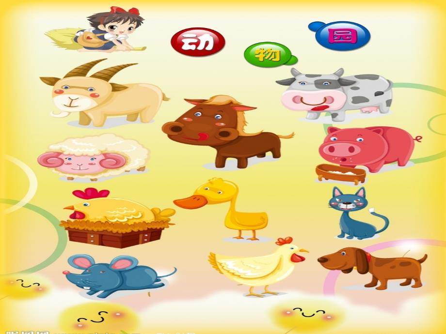 小学英语Unit4《Weloveanimals》教学课件_第2页