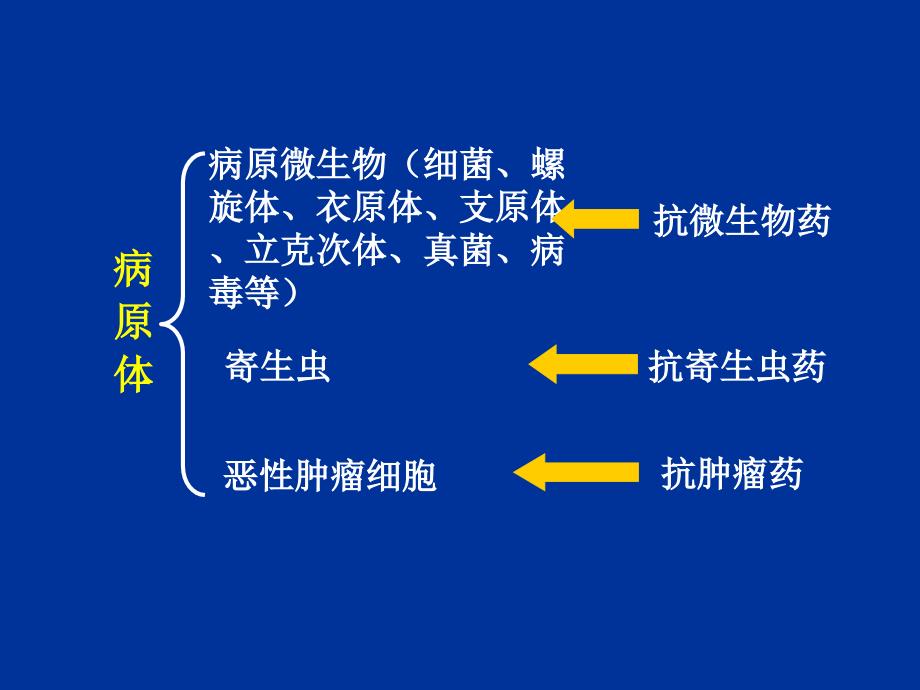 三十七章抗菌药物概论_第2页