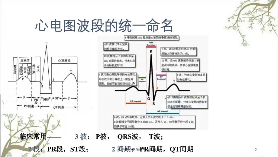 心电图心电向量与心肌缺血_第1页