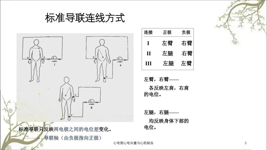 心电图心电向量与心肌缺血_第4页