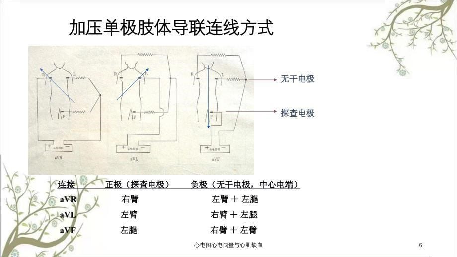 心电图心电向量与心肌缺血_第5页