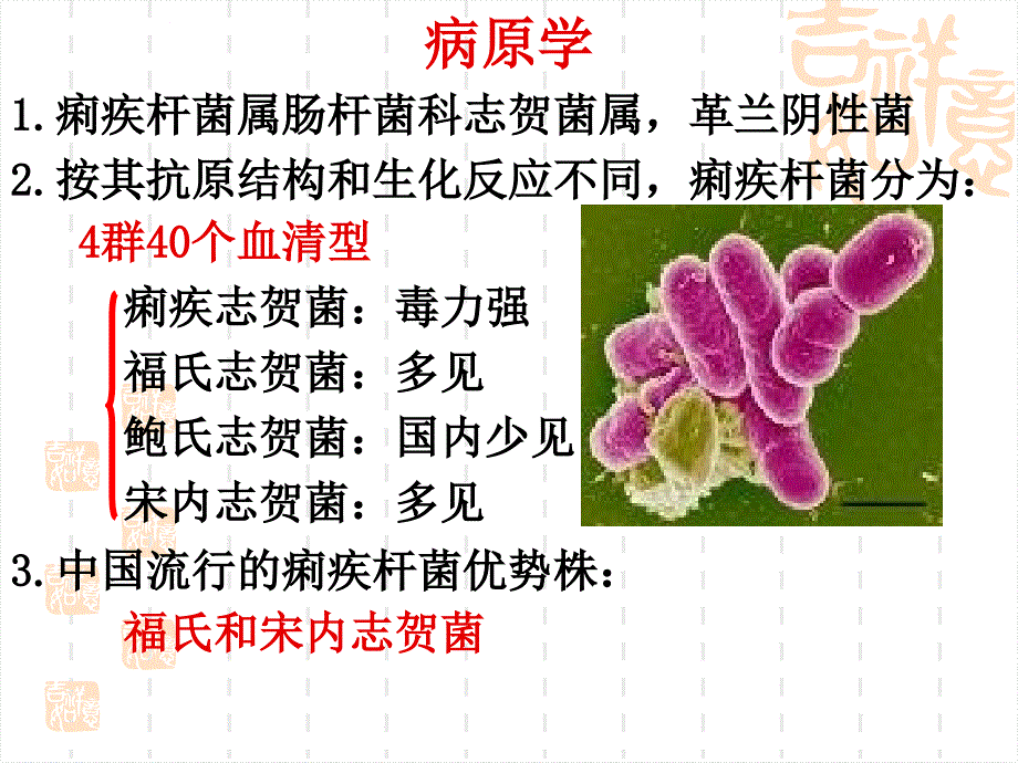 细菌性痢疾ppt课件_第4页