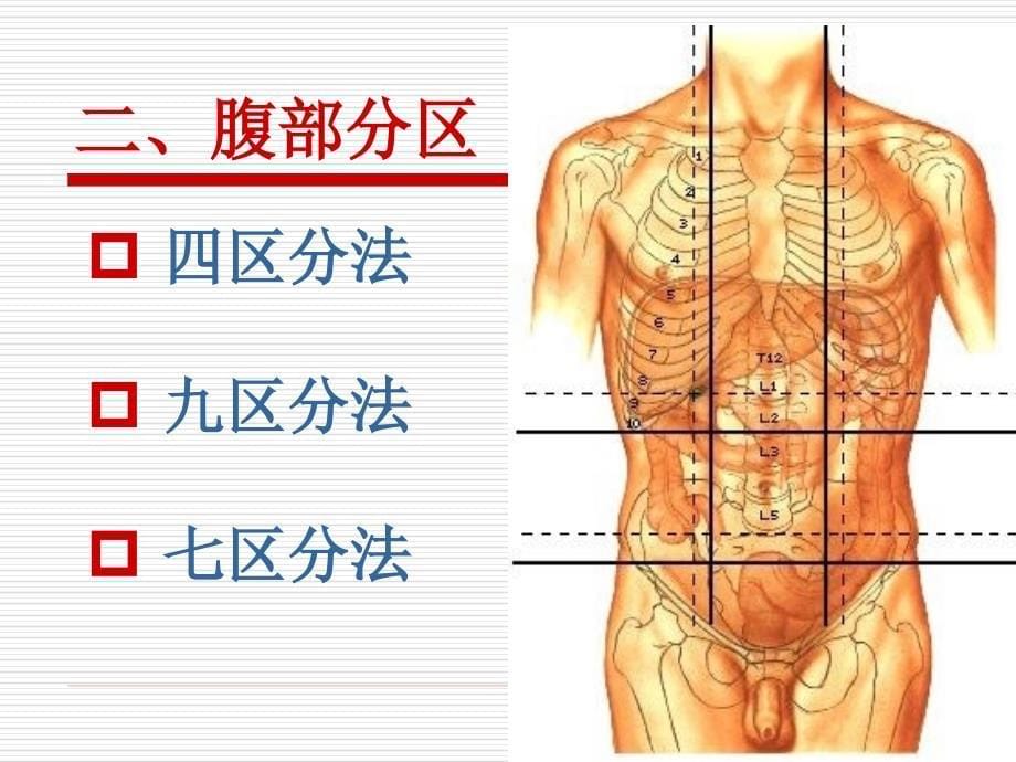 《健康评估腹部检查》PPT课件_第5页