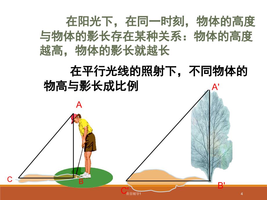 利用相似三角形测高【主要内容】_第4页