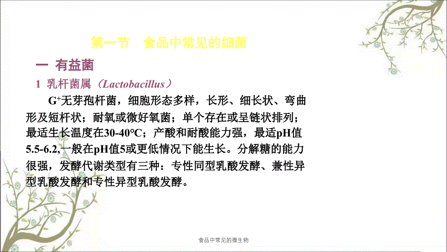 食品中常见的微生物_第3页