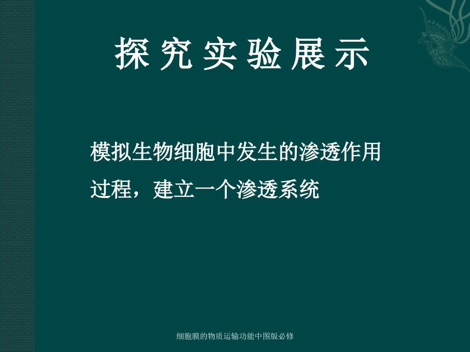 细胞膜的物质运输功能中图版必修_第3页