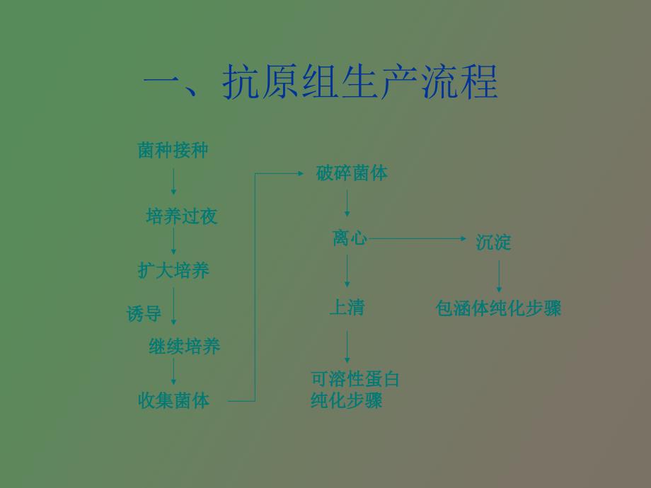 抗原的表达和纯化_第2页