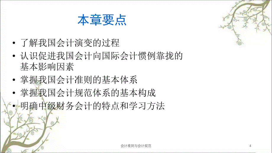 会计准则与会计规范课件_第4页