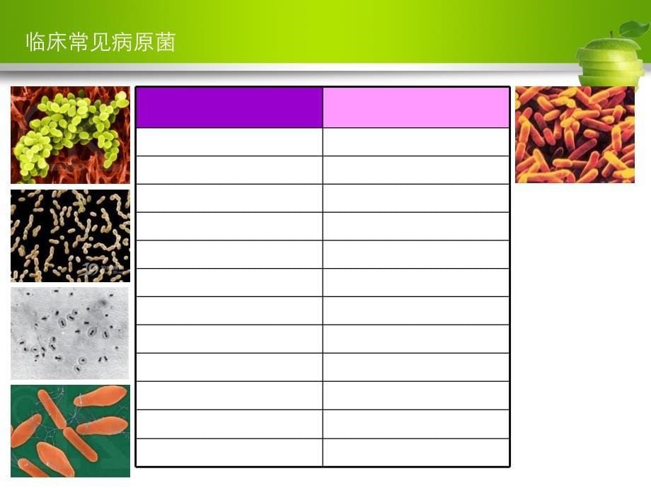 多重耐药菌的判断及解读_第5页