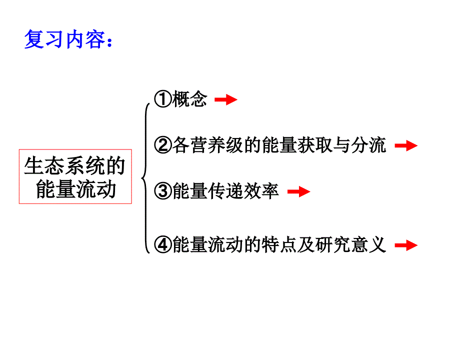 生态系统的能量流动复习_第2页