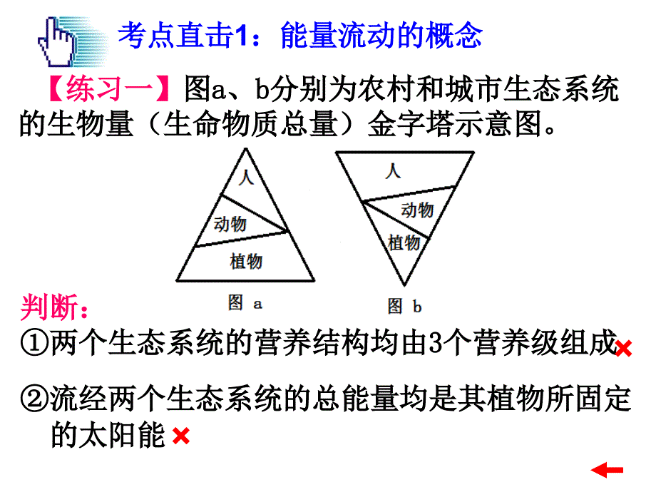 生态系统的能量流动复习_第4页