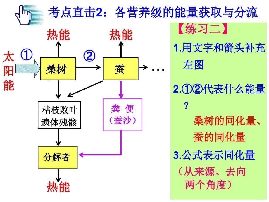 生态系统的能量流动复习_第5页