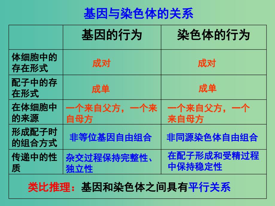 高中生物《2.2 基因在染色体上》课件1 新人教版必修2 .ppt_第3页