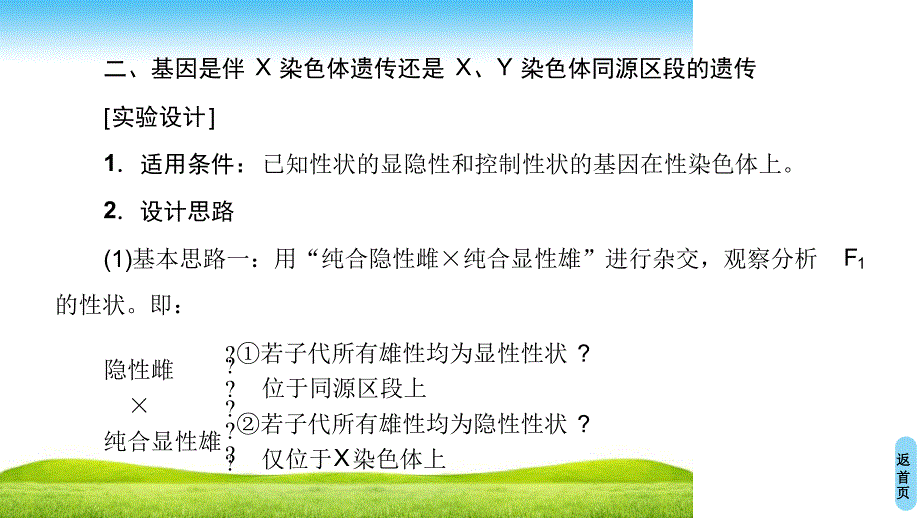 1819第2章微专题突破4判断基因位置的相关实验_第4页