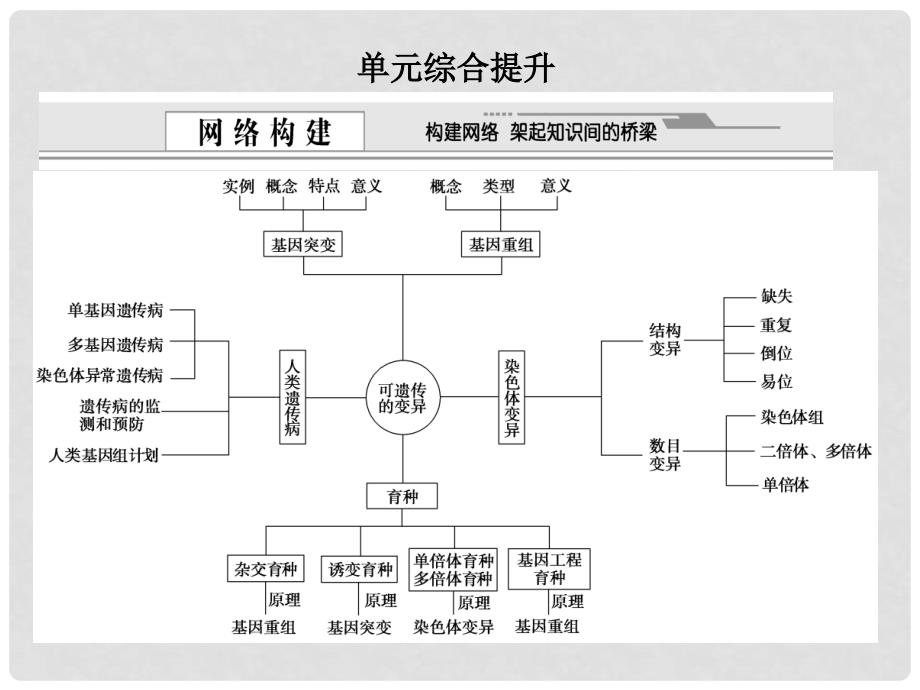 高考生物一轮复习 单元综合提升 苏教版_第1页