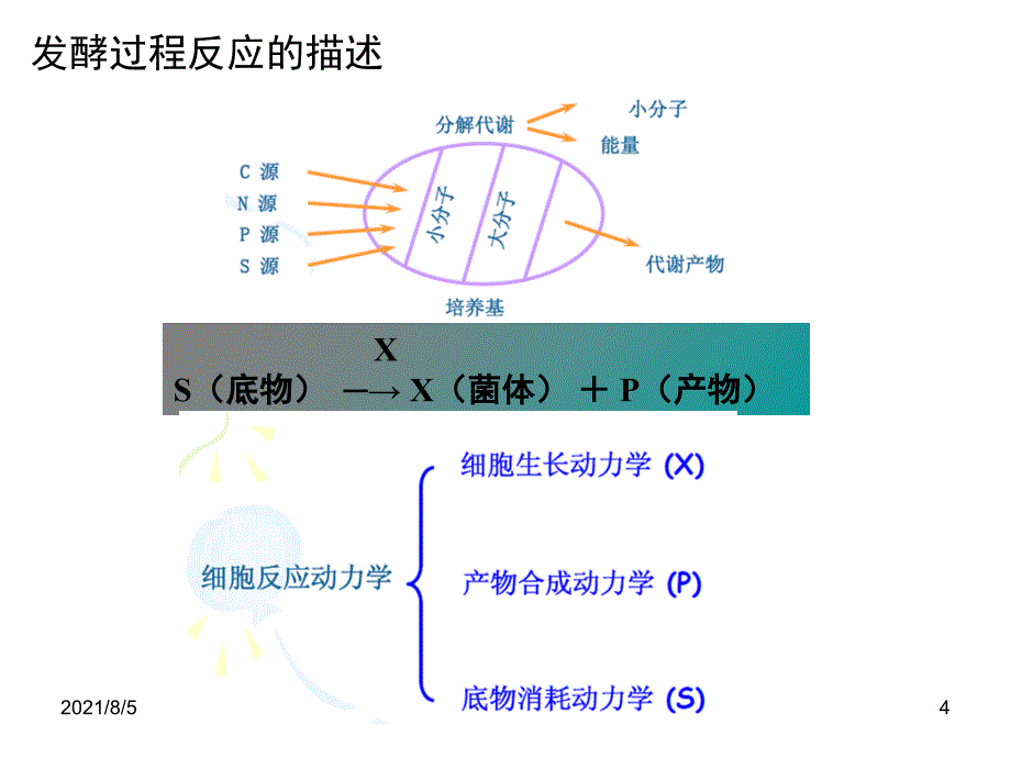 第六章典型发酵过程动力学及模型_第4页