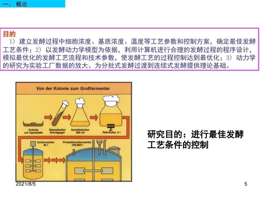 第六章典型发酵过程动力学及模型_第5页