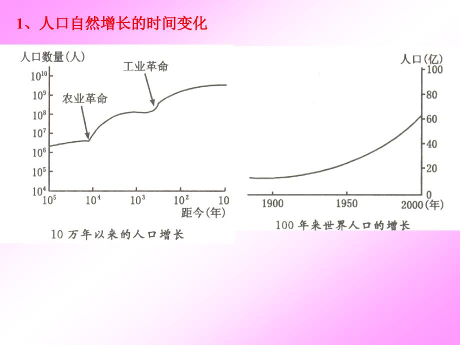 11人口的数量变化_第4页