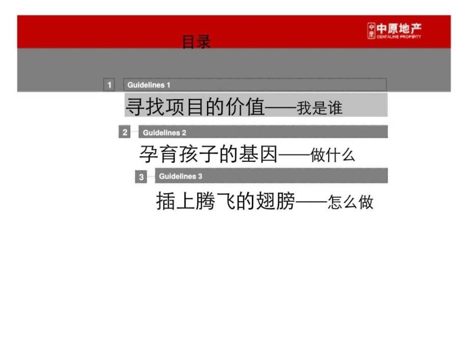 中熙集团朗项目定位报告_第2页