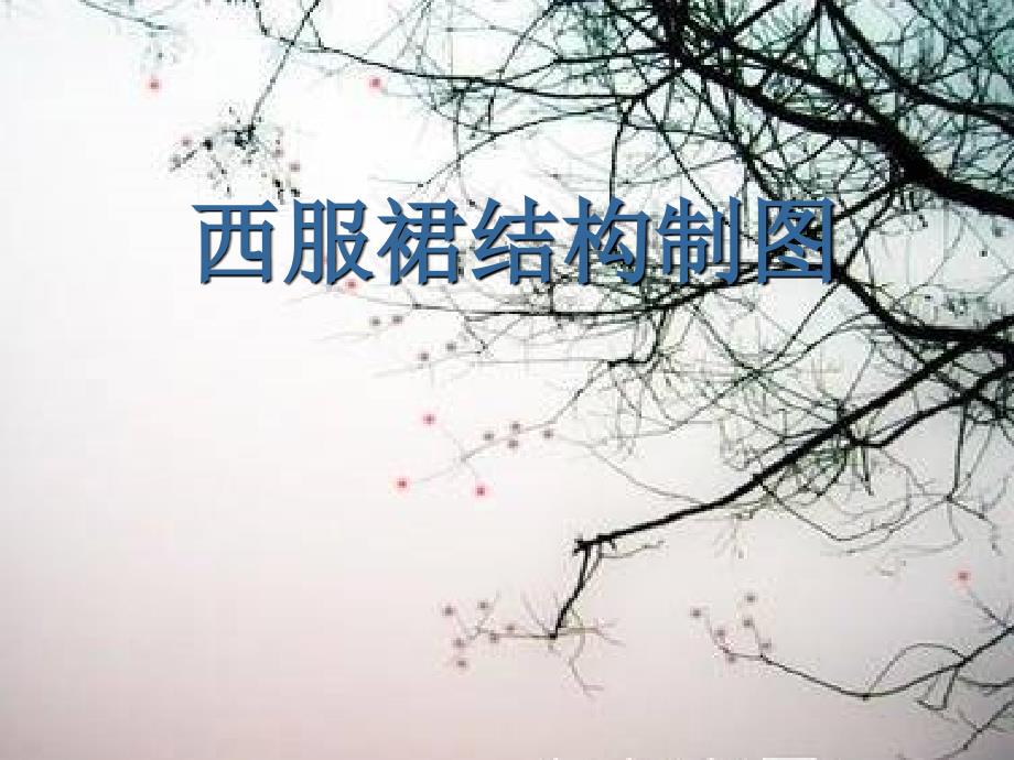 《西服裙结构制》PPT课件_第1页