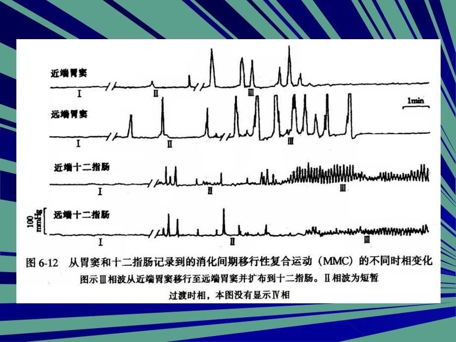 二胃排空及其控制精品ppt课件_第5页