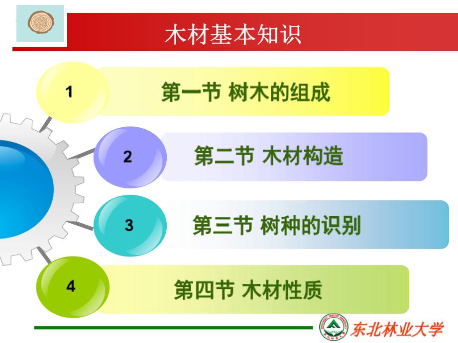 木材基本知识——木材构造_第2页