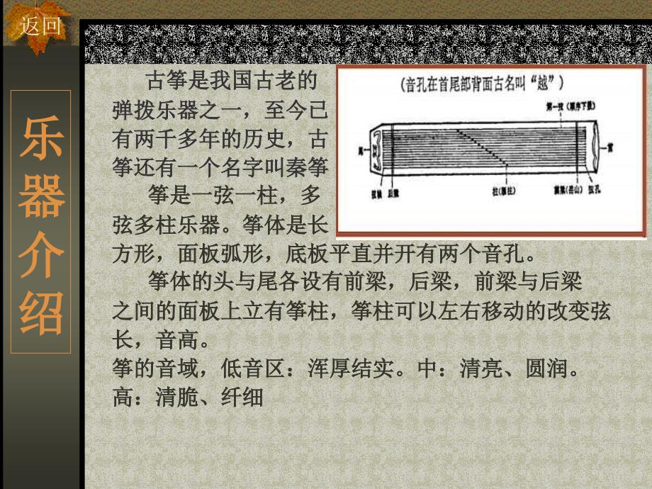 人教版音乐八年级下册乐器常识 课件_第3页