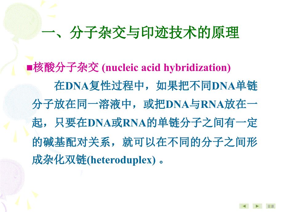 常用分子生物学技术的原理及其应用_第4页