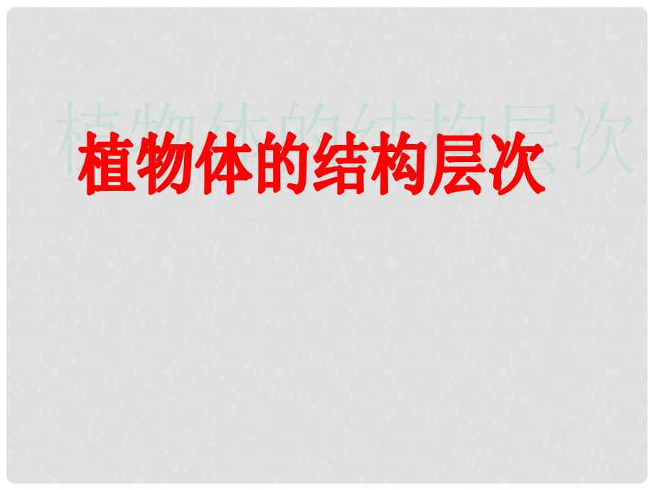 河南省郑州高新技术产业开发区实验中学七年级生物上册 2.2.3 植物体的结构层次课件2 （新版）新人教版_第3页