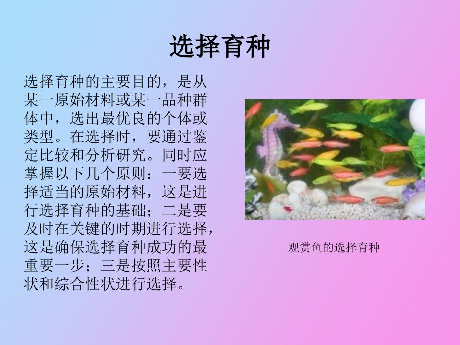 高一生物优良品种的培育和繁殖_第3页