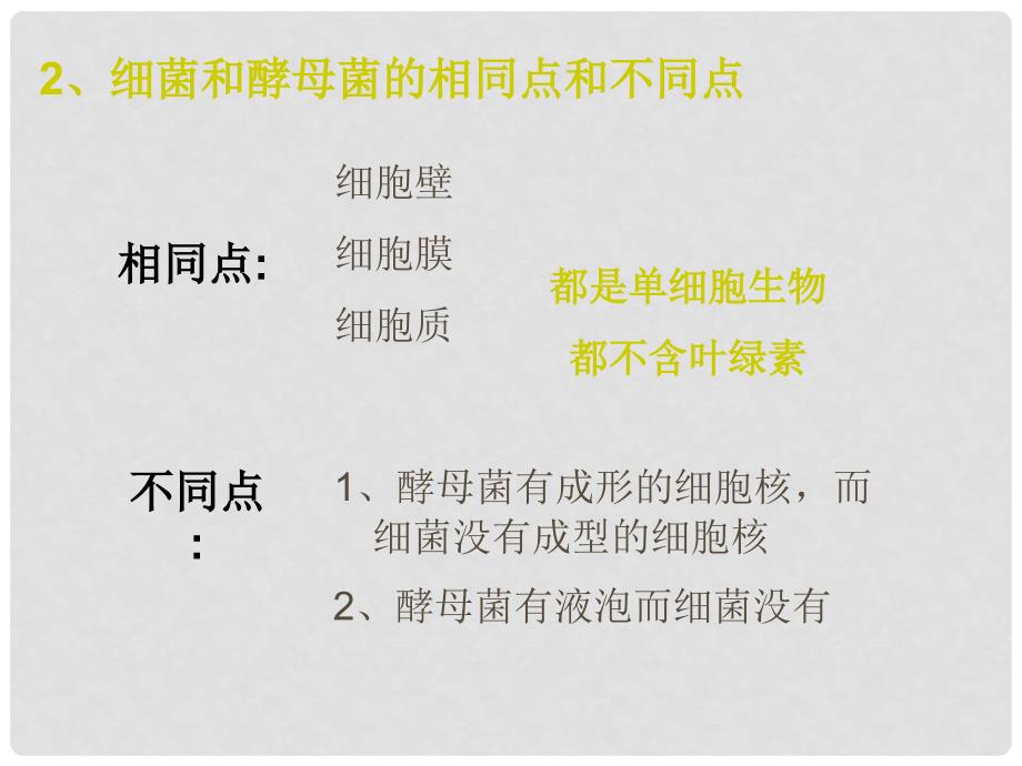 八年级生物上册 第五单元 第二章 第一节 酵母菌和霉菌课件 冀少版_第3页