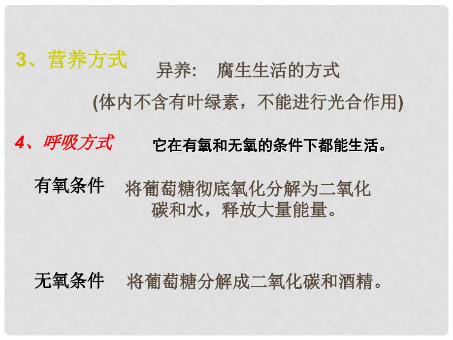 八年级生物上册 第五单元 第二章 第一节 酵母菌和霉菌课件 冀少版_第4页