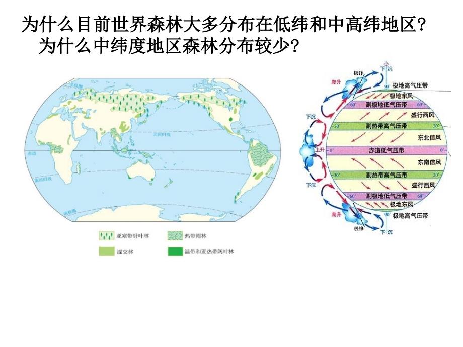 第二章第二节森林的开发和保护_第2页