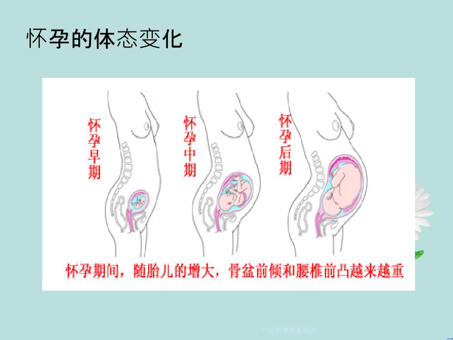 产后形体恢复指南_第4页